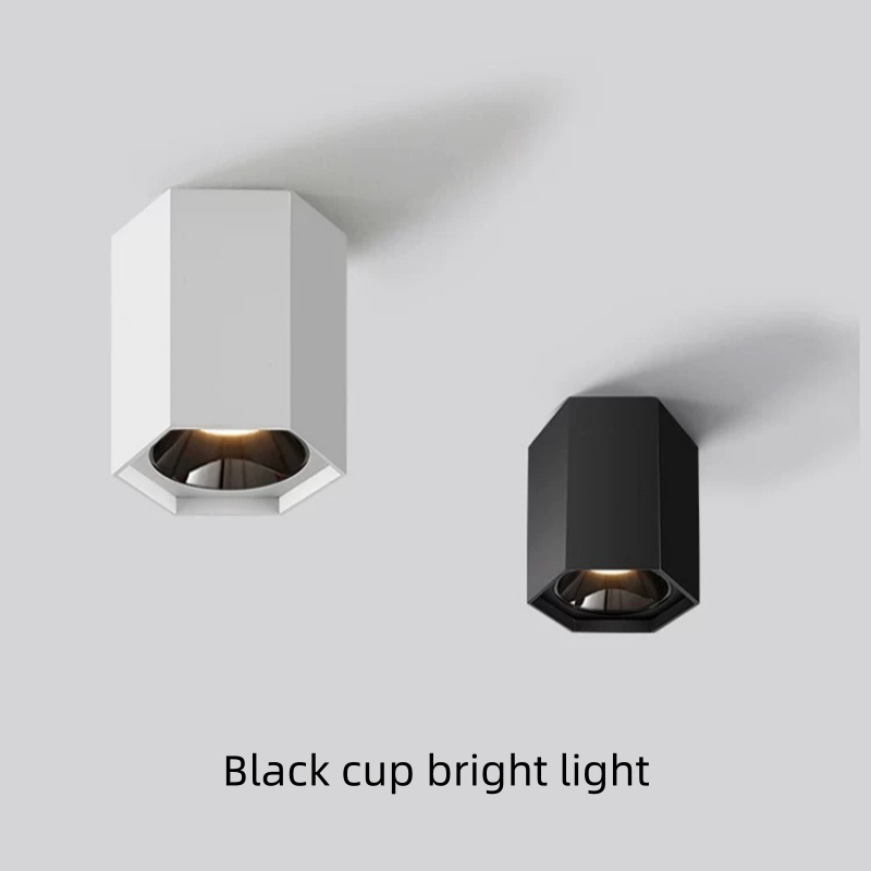 Outdoor Lighting For Store - Hole-free LED Spotlight Living Room Background
